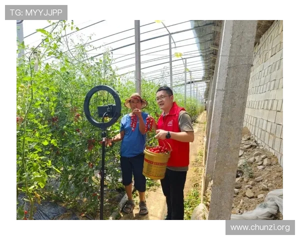 K8体育娱乐平台全面解析：提供多元化体育赛事直播与高效投注体验